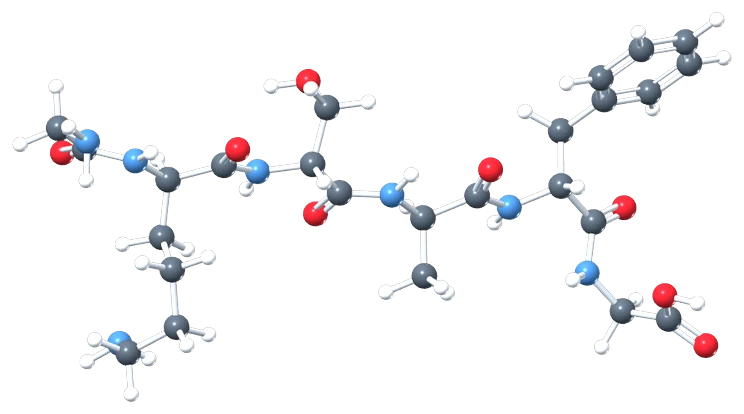 Peptide chain structure showing amide bonds
